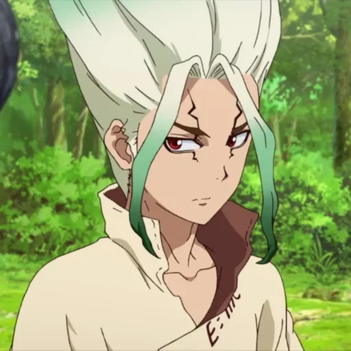 dottor stone, i personaggi degli anime, dr stone sanku, dr senku stone, anime dr stonesenku