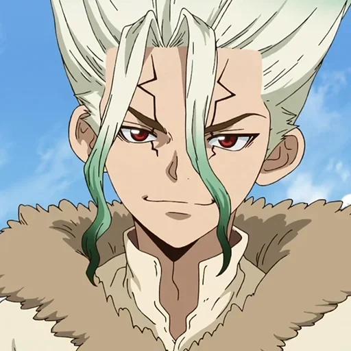 dr stone, dr stone senka, dr stone momiji, dr stone annamy, dr stone personnages shiro