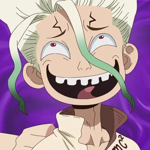 anime, senka ishigami, personnages d'anime, dr stone senka, dr stone sank gene