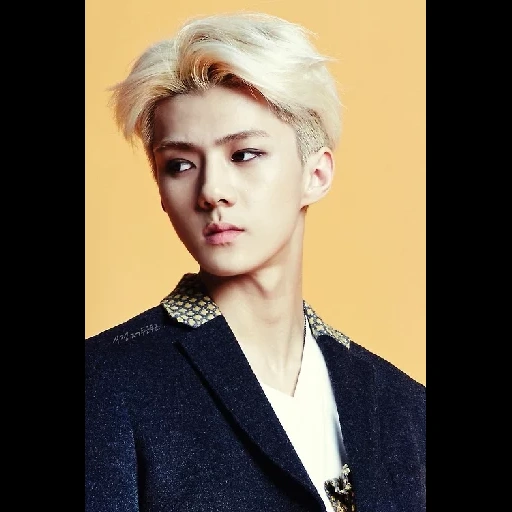 sehun, lu han, xie hong, exo sehun, baekhyun exo