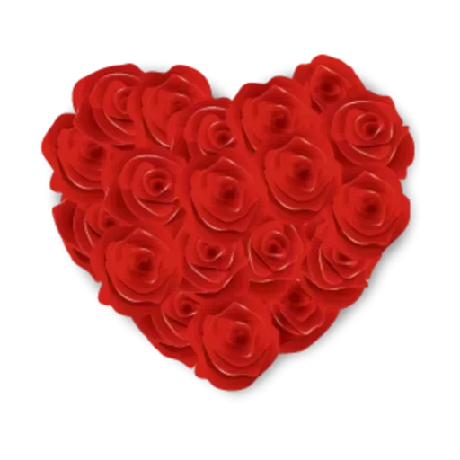 jantung mawar, hati mawar, mawar bentuk hati, hati mawar merah