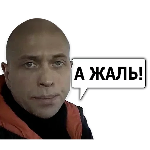 pegatinas druzhko, sergey evgenievich druzhko, pegatizaciones telegram, pegatizaciones hermano, meme