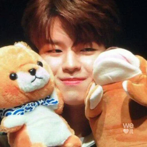 seungmin, stray kids, stray kids dinosaures, membre de stray kids, seung myung utilise ses jouets