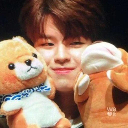 seungmin, stray kids, dinosauri stray kids, membri di stray kids, seung ming usa il suo giocattolo