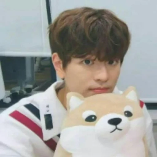 kim sonmin, kim seungmin, skzoo son, minho is his cats, sonmin 2021 stray kids toys