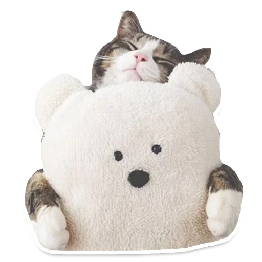 chat, chat, jouet de minou, chat dormant cher, cat lapkin soft toy