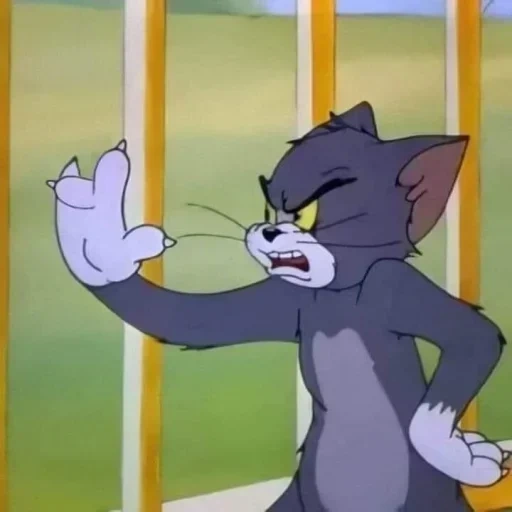 tom jerry, tom jerry cat, jerry tom jerry, tom jerry are small, tom jerry tom jerry