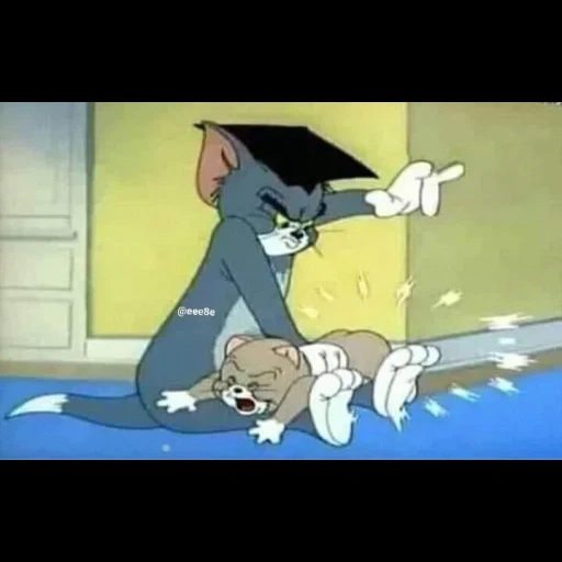 tom jerry, tom schizza jerry, cartoni animati tom jerry, tom jerry stanco, tom jerry tom jerry