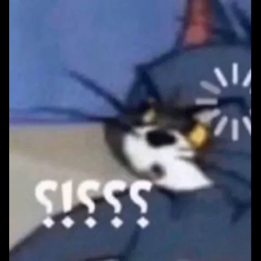 gatto, ramenskoye, tom jerry, cat tom mem, sei un meme di un gatto