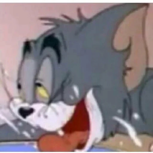 tom jerry, jerry tom jerry, cartoon tom jerry, tom jerry temporada 1, tom jerry 5 episódio