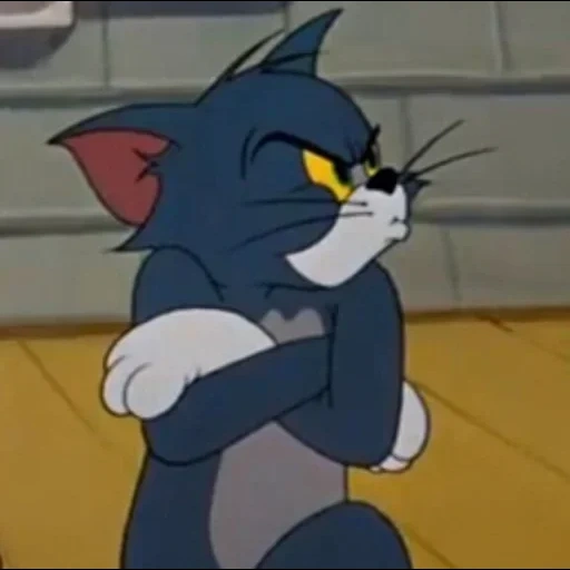 tom, tom jerry, mini topo, tom no meme, cat tom jerry 1963