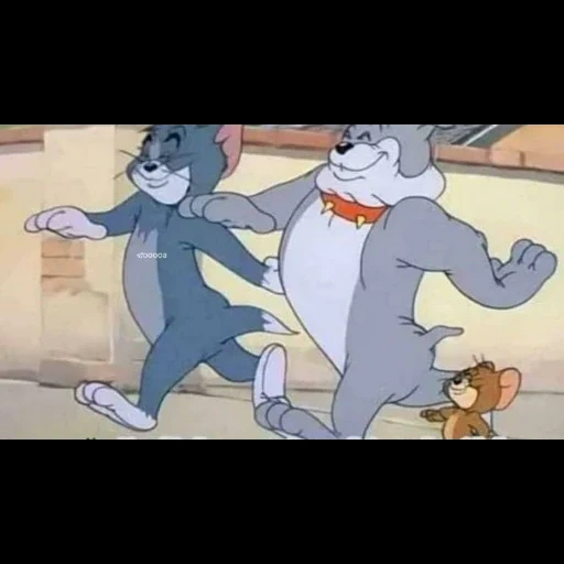 tom jerry, tom jerry spike, jerry tom jerry, serie tom jerry 11, tom jerry tom jerry