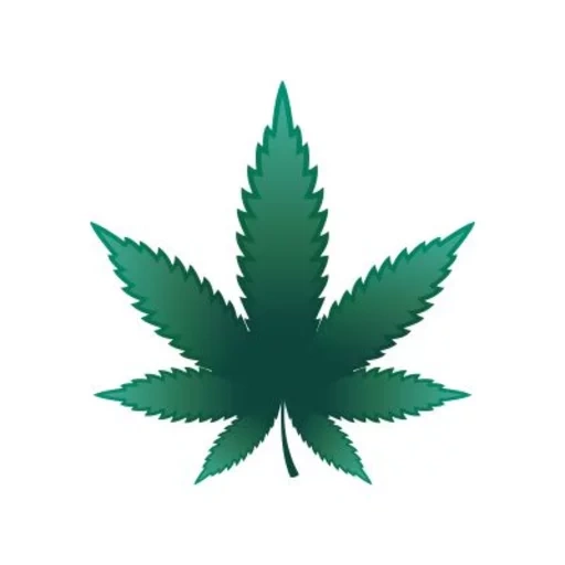 cannabis, растение, марихуана, лист конопли, конопляный лист