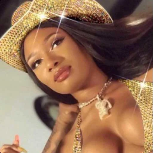 niki minaj, james fenimore cooper, megan thee stallion nude, bella black donna