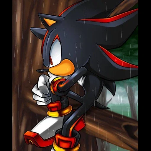 shadow, hedgehog shadow, hedgehog shadow, shadow amy, shadow ruzh