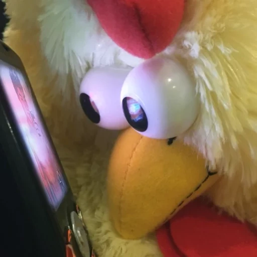 toys, toy cock, plush toy, cock toy, plush toy chicken