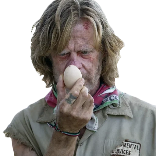 a shameless person, william macy, non-dyeing series, tv series shameless, william macy's shameless