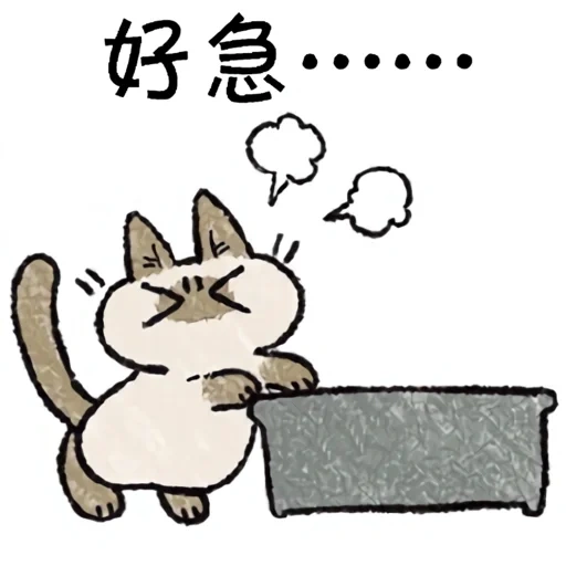 gatto, a cat, oro bianco, massaggio kawai seal, sumiko gurashi learning drill kanji