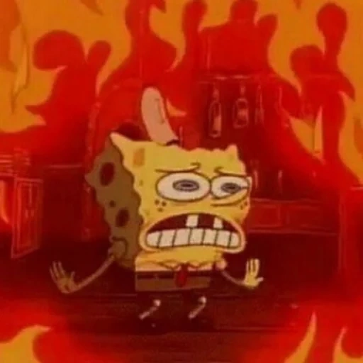 junge, bob esponja, spongebob meme, sponch bob fire in den kopf, spongebob schwammkopf