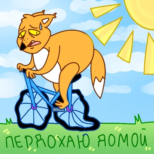 a raposa é ótima, em uma bicicleta, fox bicycle, corgi bicicleta, bicicleta de kitty