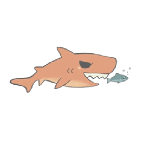 requins, mignon requin, requin, requin rose 69, motif de requin mignon