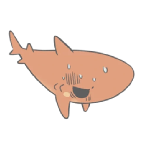 hiu, hiu lucu, sketsa shard, hiu merah muda 69