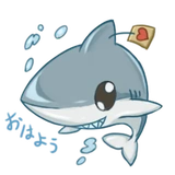 Shark Chan
