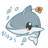 @tikelmu Shark Chan