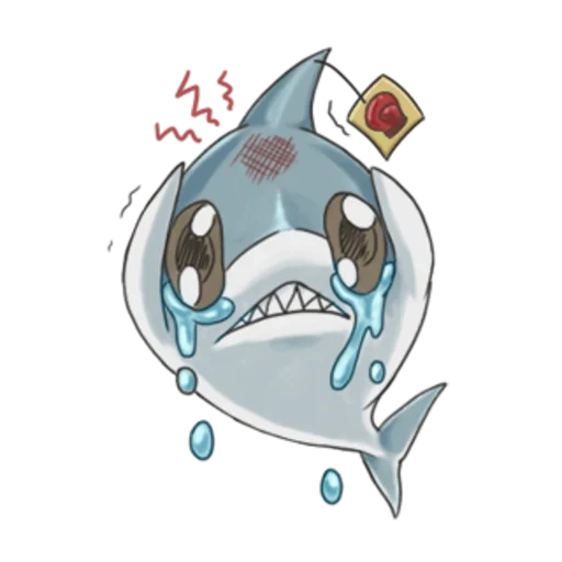 shark, e reverse, angry shark, cartoon shark, shark is a sweet drawing