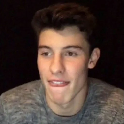 sean mendes, shawn mendes memes, guy, schöne jungs, shawn