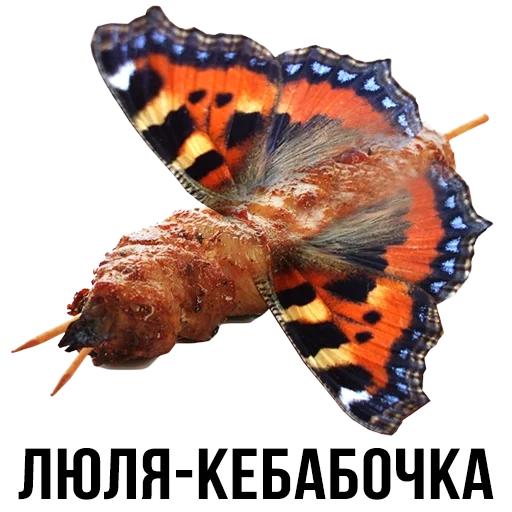 шлакоблокунь, бабочка бабочка, шлакоблокунь оса, бабочка крапивница, бабочка бабочка крапивница