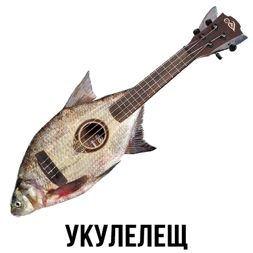 poisson de guitare, scole de scories, scories bloquant les amis, slaglockun est ses amis, bloc de scories potskumbria