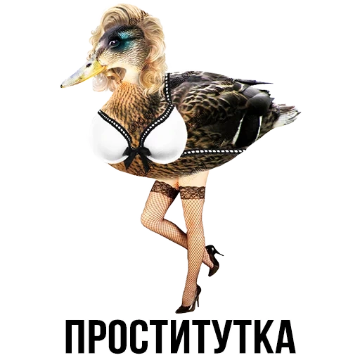funny, duck duck, interesting memes, interesting memes, cinder block
