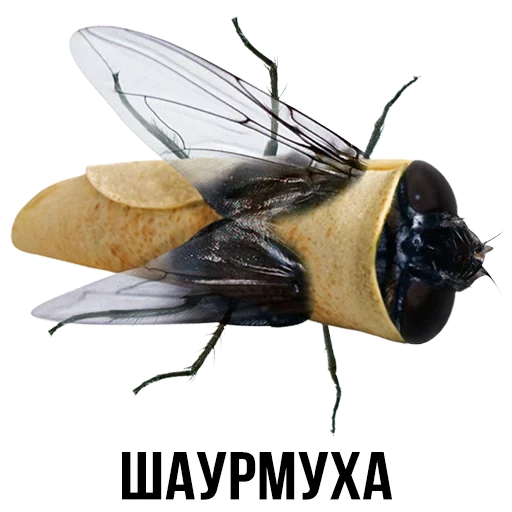 муха, муха муха, муха комар, шлакоблокунь хурма, шлакоблокунь друзья