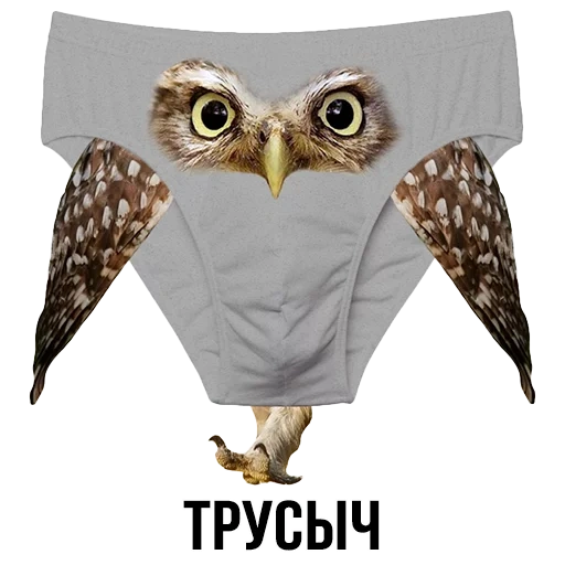 underwear, owl underwear, thin underwear, owl underwear girl