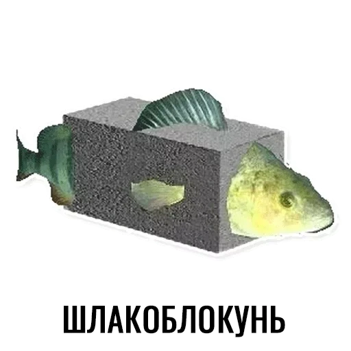 slag block, fish slag block, cloglocun of the forest, slaglockon has its own game, slag blocking meme without inscriptions