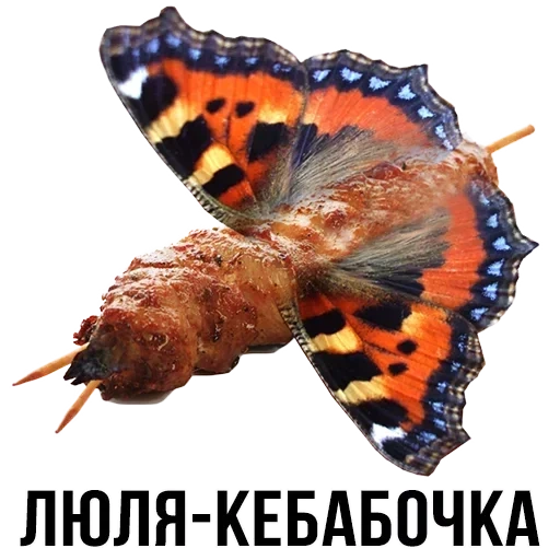 schmetterling, schmetterling schmetterling, brennnesselbutterfly, schlacke blockierende freunde, schmetterling schmetterling