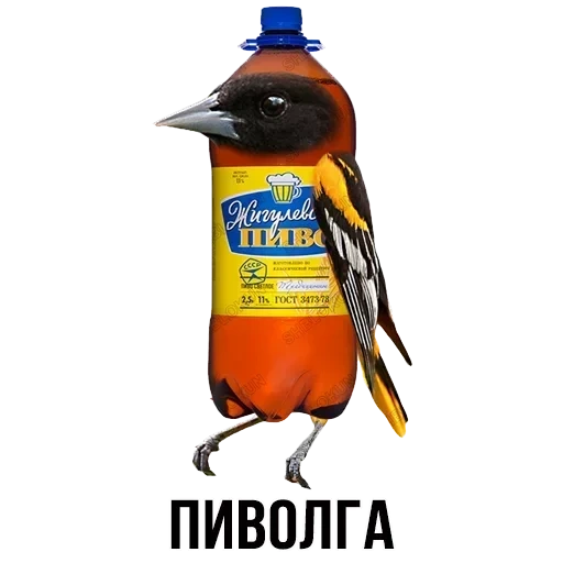 una bottiglia di birra, gallo cedrone della birra, blocco scollo, scorie bloccando gli amici, scorie bloccando i suoi amici watsap