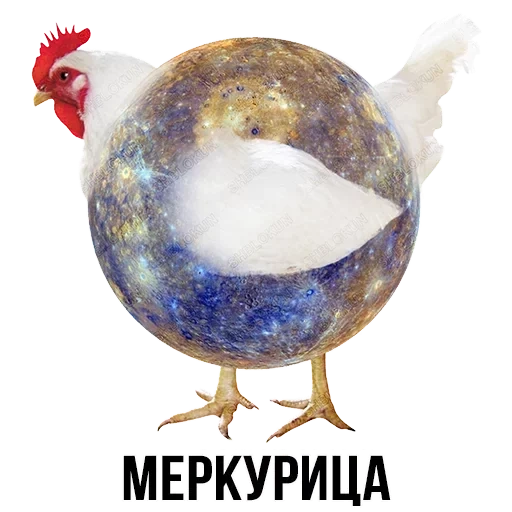 шлакоблокунь, меркурица мес, планета меркурий, шлакоблокунь друзья, шлакоблокунь петушина