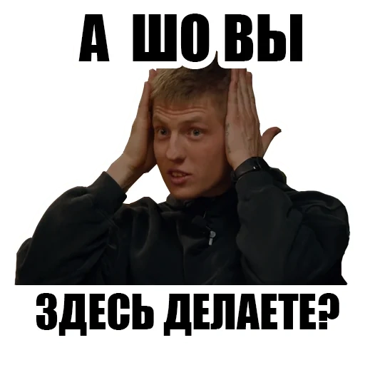 meme, shcherbakov