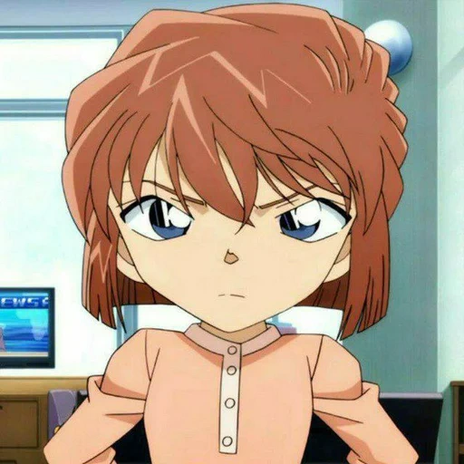 твиттер, haibara ai, врата хайбара, detective conan, ай хайбара детектив конан