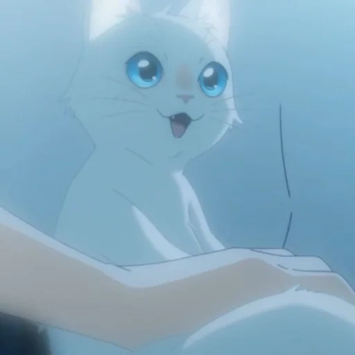 кошечка, кошка аниме, аниме котенок плачет, a whisker away аниме, nakitai watashi wa neko wo kaburu