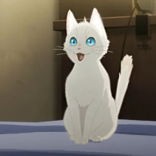 animación de gato, nakitai watashi, animación a whitker away, nakitai watashi wa neko kaburu, animación nakitai watashi wa neko kaburu