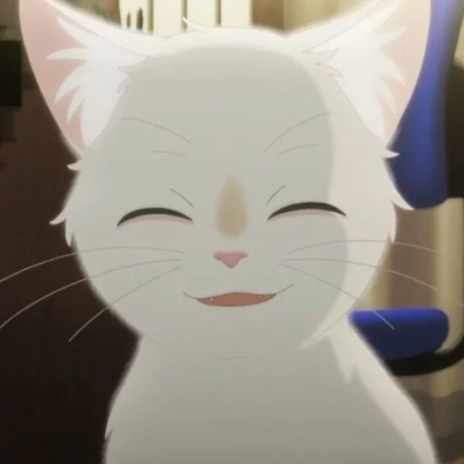 кошка, anime cat, кошка аниме, котики аниме, olhos de gato аниме