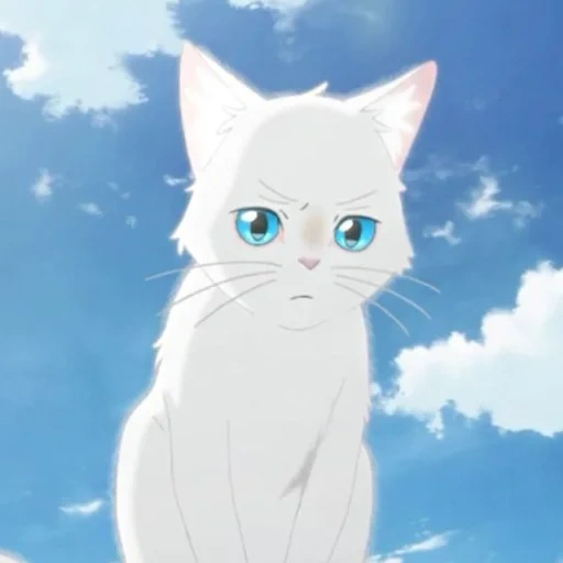 кошка, anime cat, nakitai watashi, olhos de gato аниме, a whisker away аниме