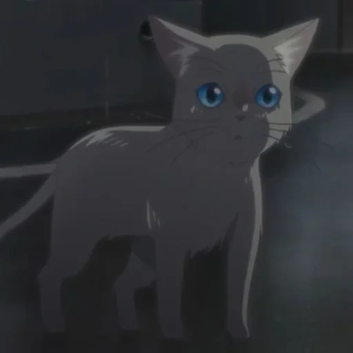 chat, chat anime, chat anime, awisker away anime, un chat anime à travers des larmes prétend être un chat