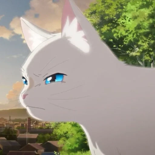 кот, кошка, белая кошка, olhos de gato аниме, a whisker away аниме