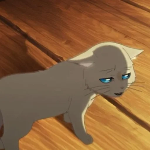 cat, cat animation, ella warrior cat, warrior cat blue star prophecy, anime nakitai watashi wa neko wo kaburu