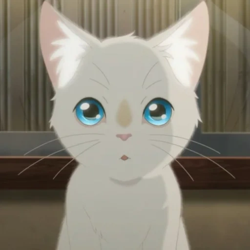 gatto anime, anime del gatto, anime di olhos de gato, anime di whisker away, l'animazione finge di essere un gatto attraverso le lacrime
