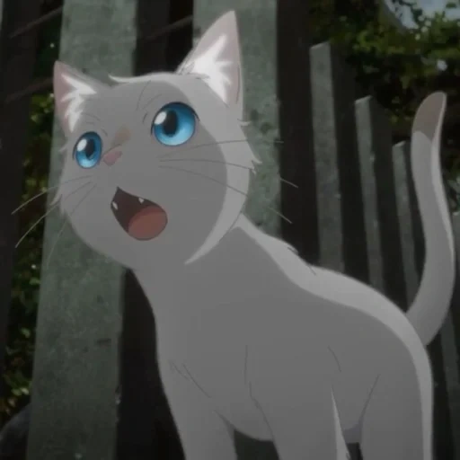 chat, chat anime, chat anime, chats anime, un chat anime à travers des larmes prétend être un chat